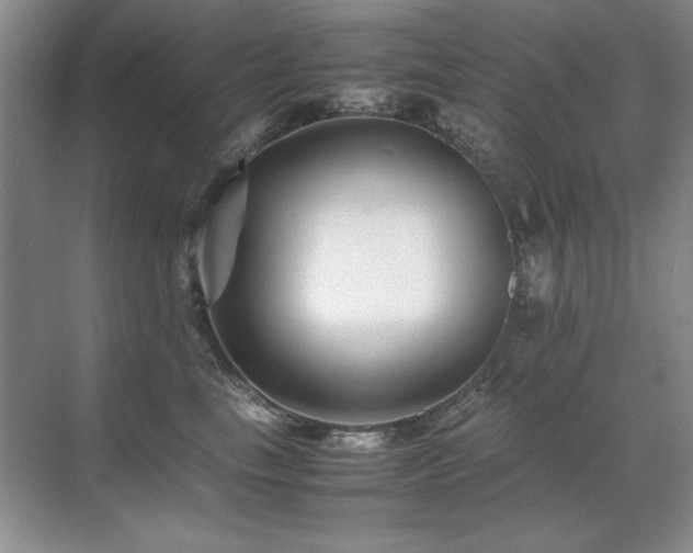 X0000071950665200607071211