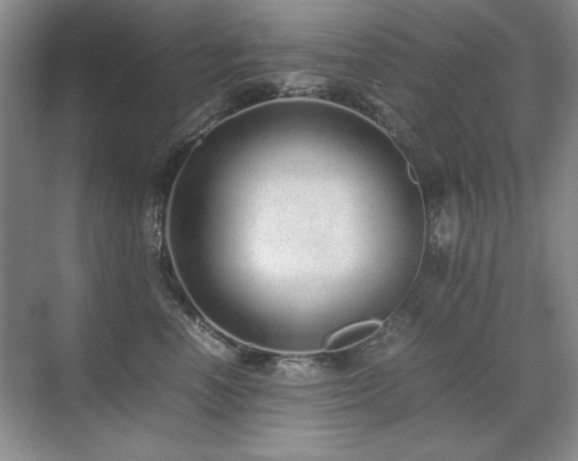 X0000071950666200607071211