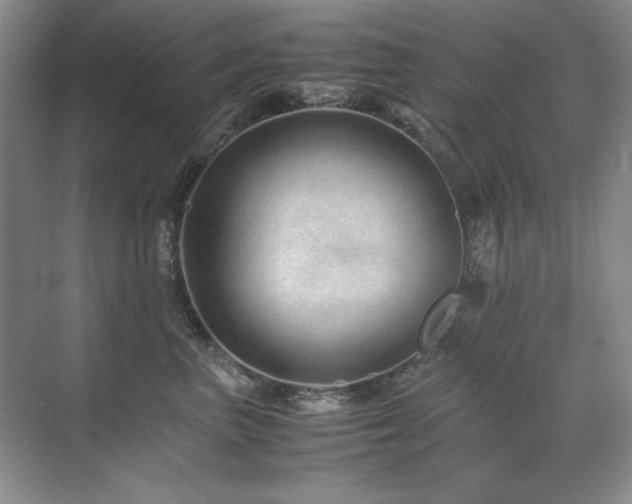 X0000071950667200607071211