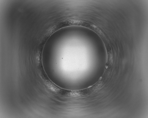 X0000071950668200607071211