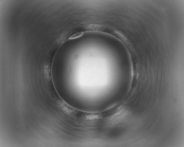 X0000071950669200607071211