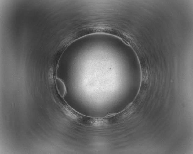 X0000071950670200607071211