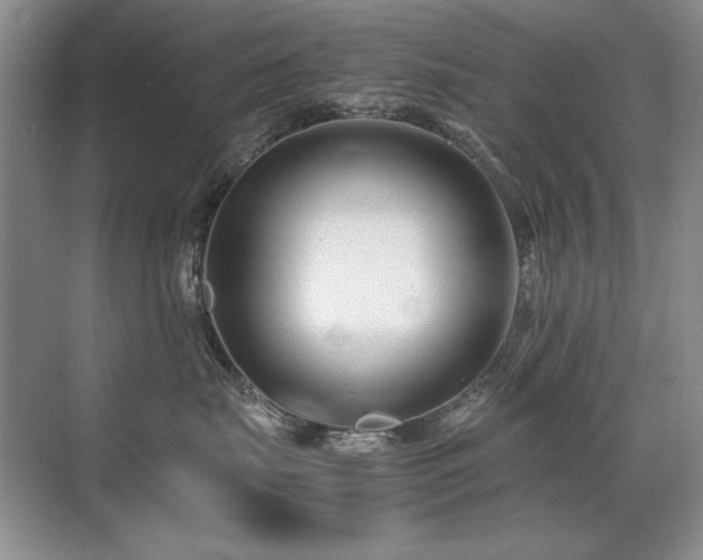 X0000071950671200607071211