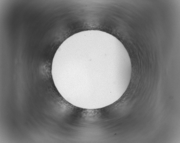 X0000071950672200607071211