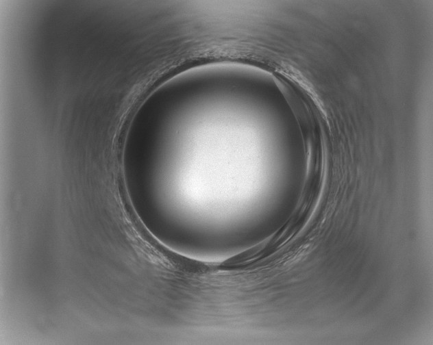 X0000071950673200607071211