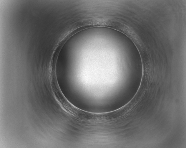 X0000071950674200607071211