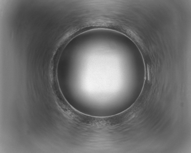 X0000071950675200607071211