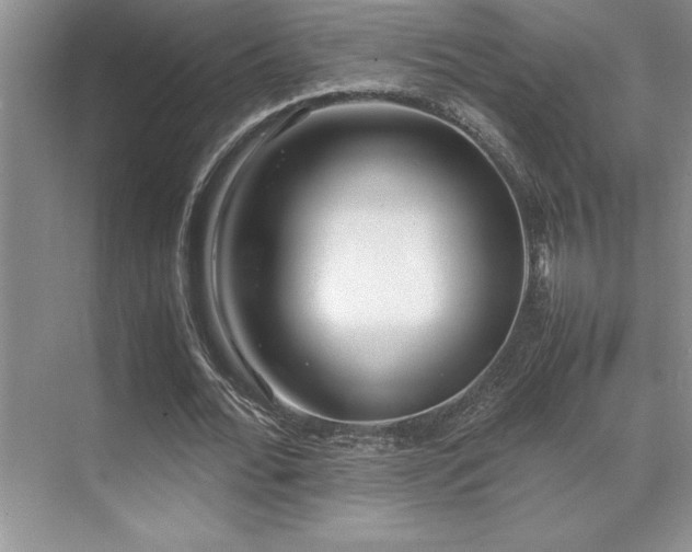 X0000071950676200607071211