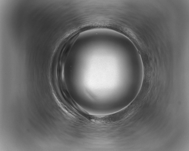 X0000071950677200607071211