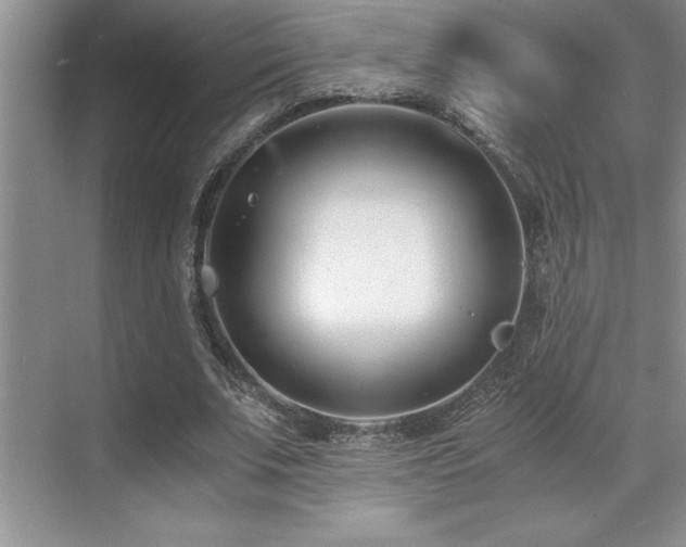 X0000071950679200607071210