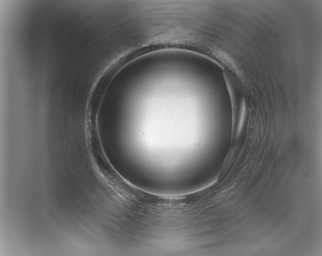 X0000071950680200607071210