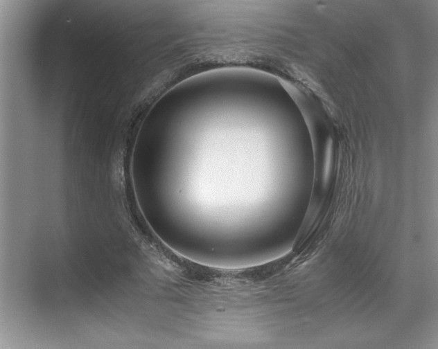 X0000071950681200607071210