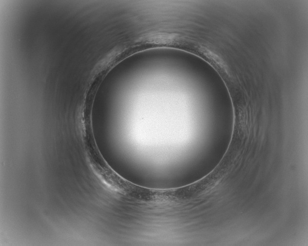 X0000071950682200607071210