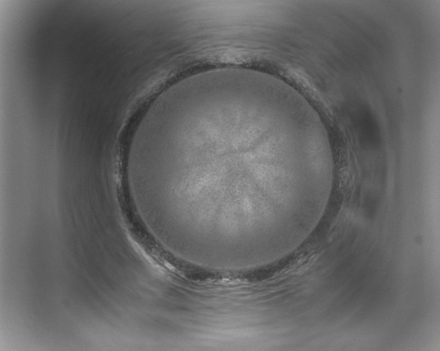 X0000071950683200607071210