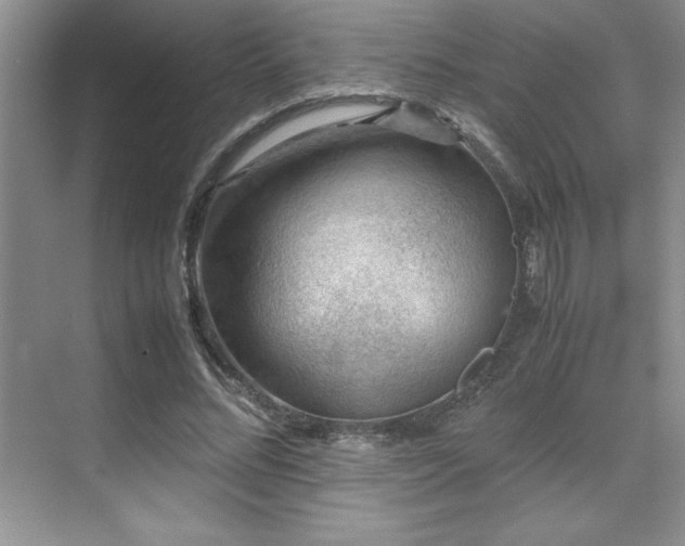 X0000071950684200607071210