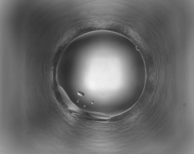 X0000071950685200607071210