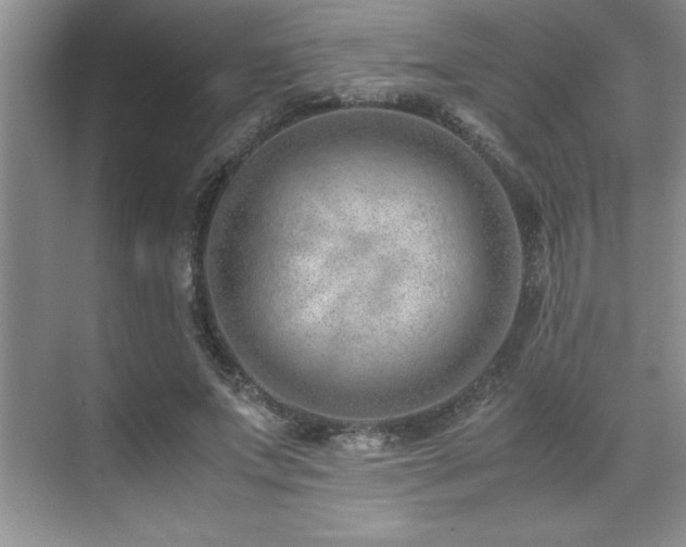 X0000071950687200607071210