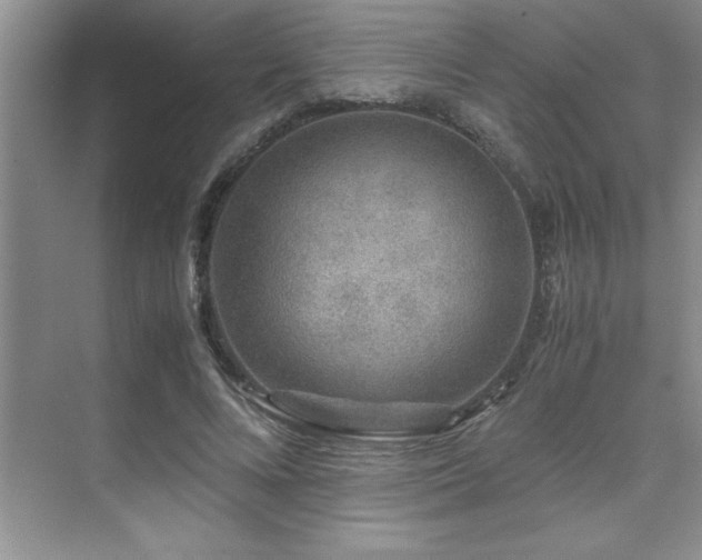 X0000071950688200607071210