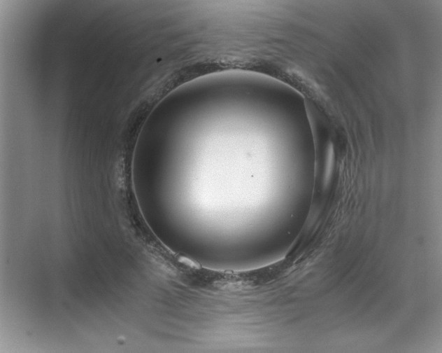 X0000071950689200607071210