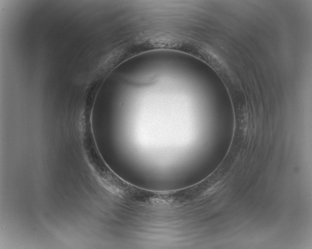 X0000071950690200607071210