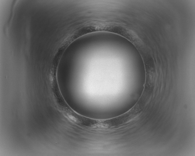 X0000071950691200607071210