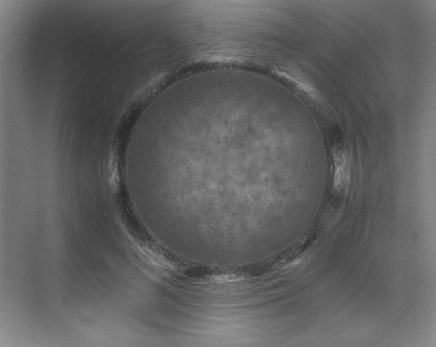 X0000071950692200607071210