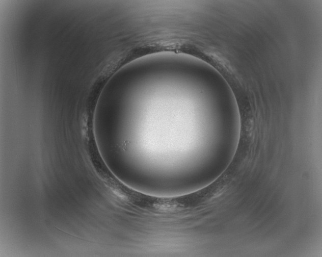 X0000071950693200607071210