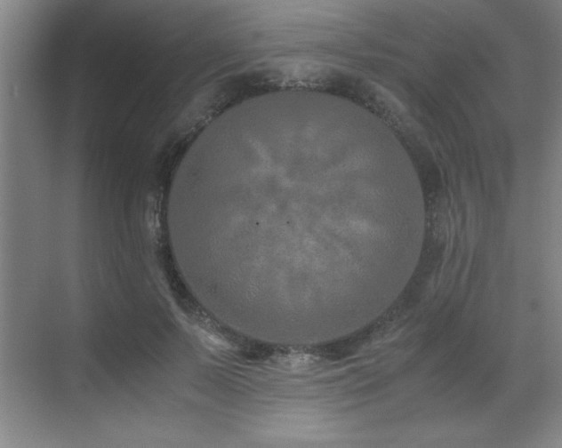 X0000071950695200607071210