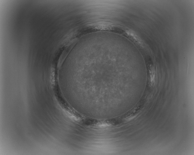 X0000071950696200607071210