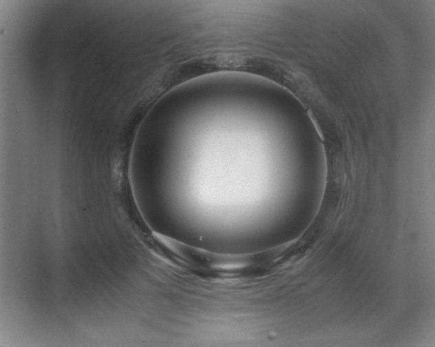 X0000071950697200607071210