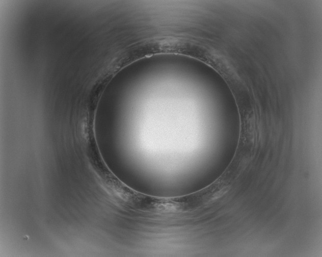 X0000071950698200607071210