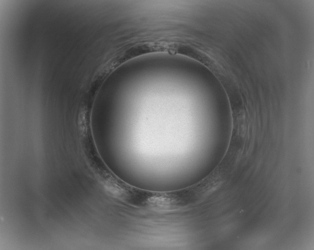 X0000071950699200607071210