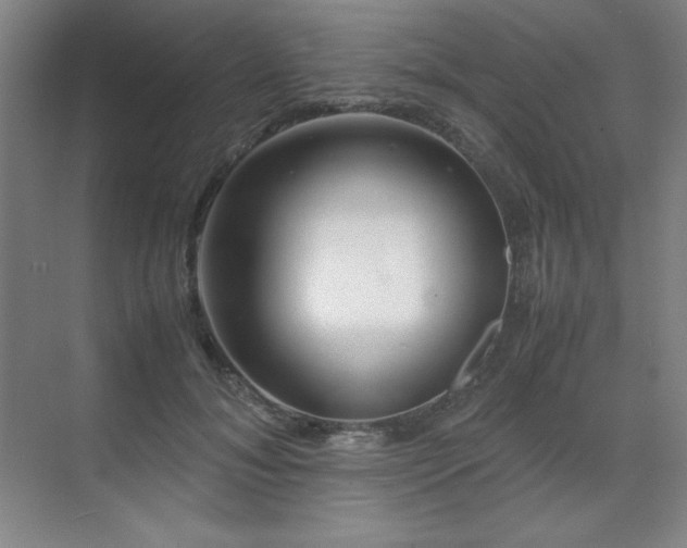 X0000071950700200607071210