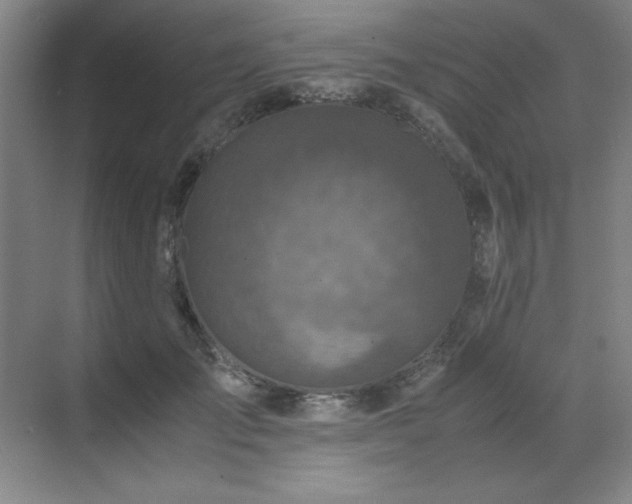 X0000071950701200607071210