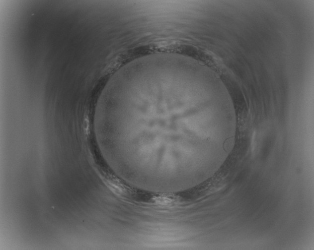 X0000071950703200607071210