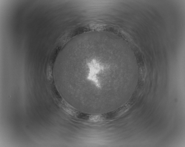 X0000071950705200607071210