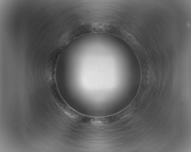 X0000071950706200607071210