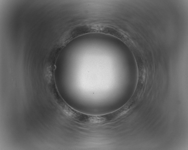 X0000071950707200607071210