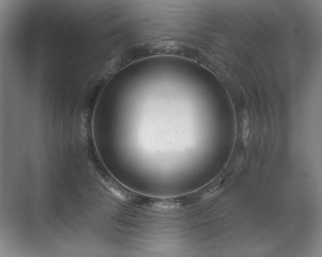 X0000071950708200607071210