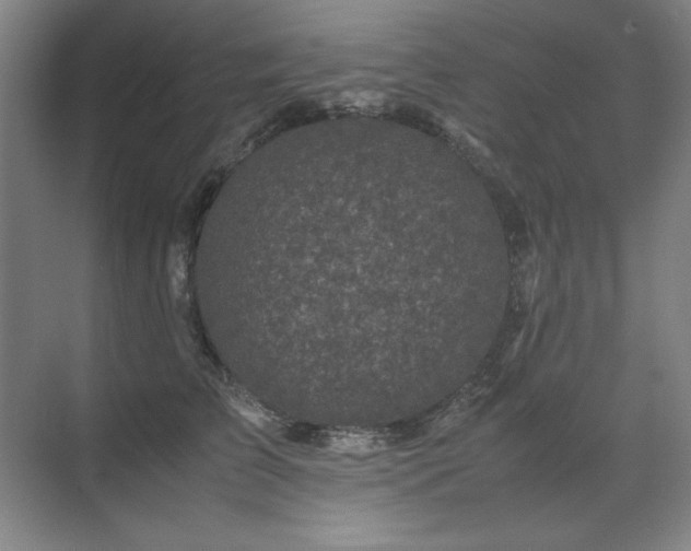 X0000071950709200607071210