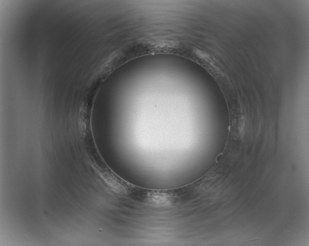 X0000071950710200607071210