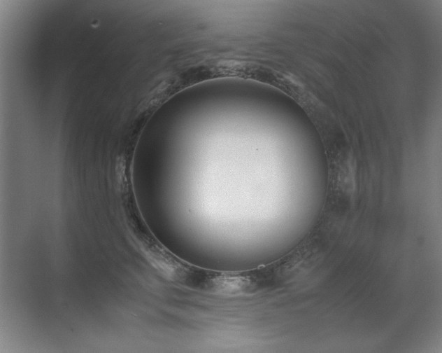 X0000071950711200607071210