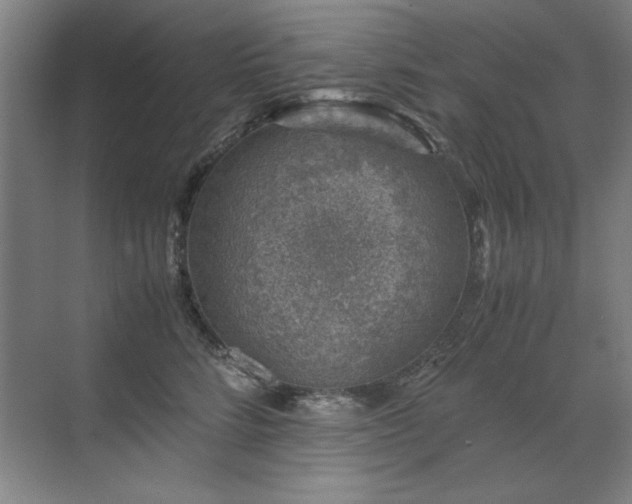 X0000071950712200607071210