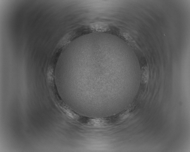 X0000071950713200607071210