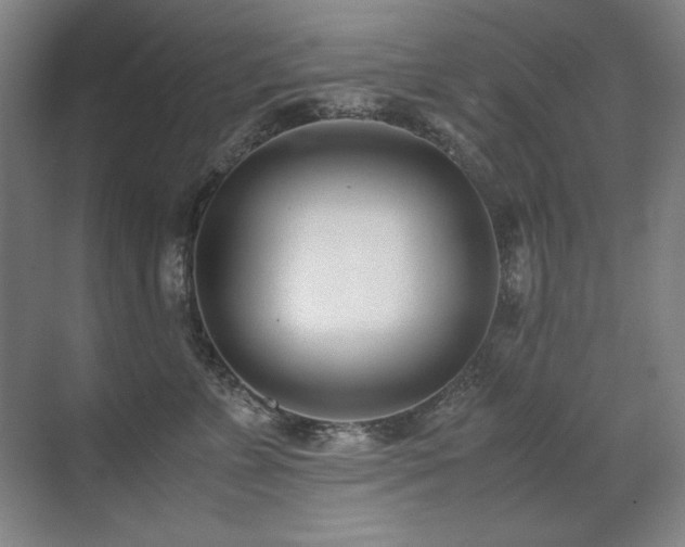 X0000071950715200607071210