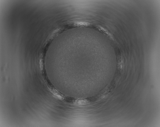 X0000071950716200607071210