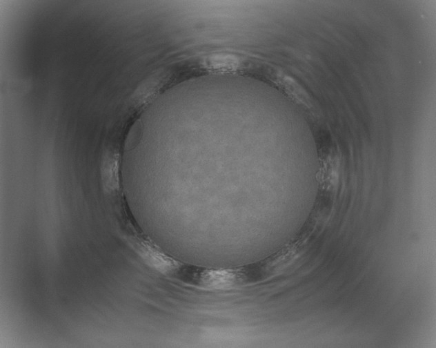 X0000071950717200607071210