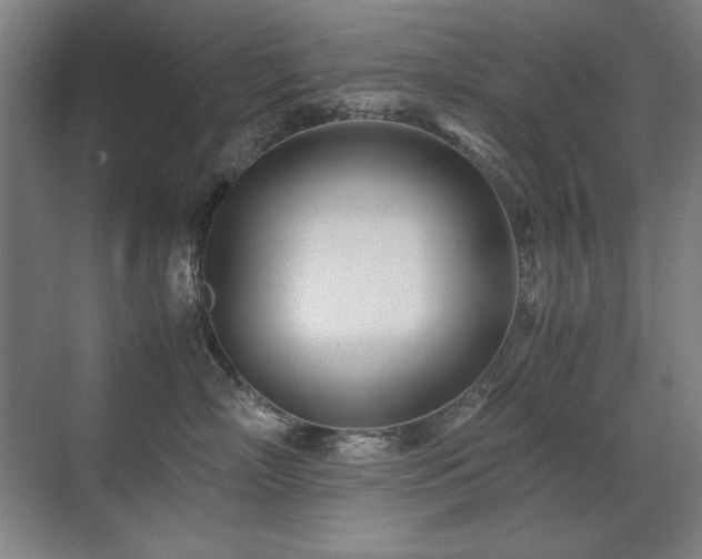 X0000071950718200607071210