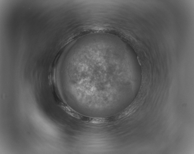 X0000071950720200607071210