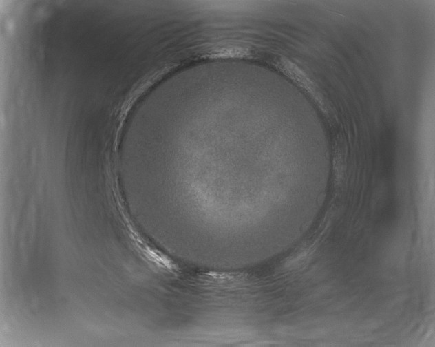 X0000071950721200607071209